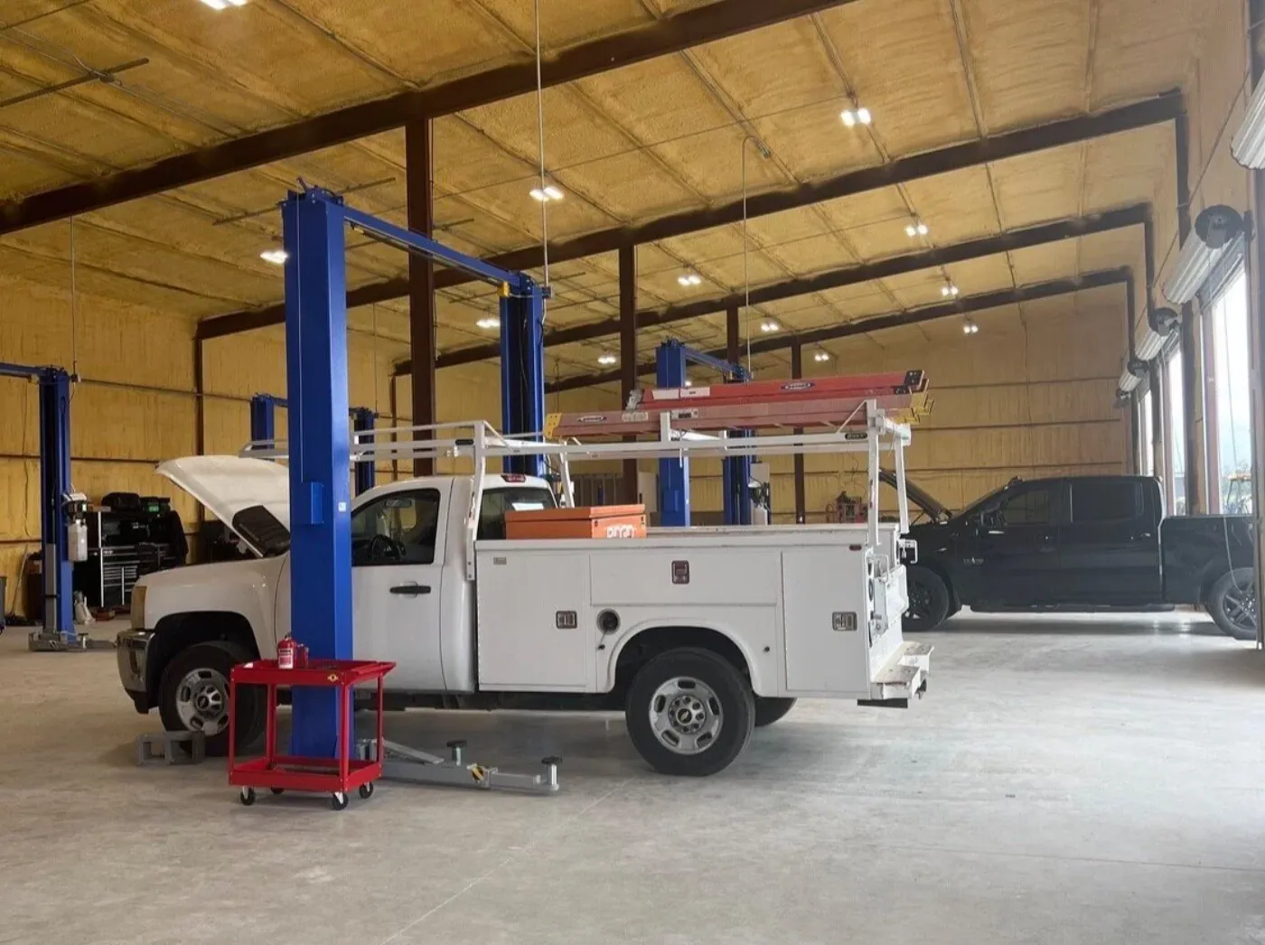How to Prepare Your Car for a Successful Inspection, What Fails a Car Inspection in Texas, and How Guzman Automotive Can Help